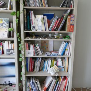 Vente de 2 étagères en très bon état !