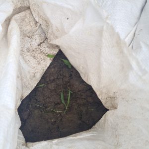 Terre de Jardin A Donné (Gratuit)