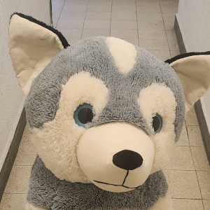 Peluche géante Border Collie