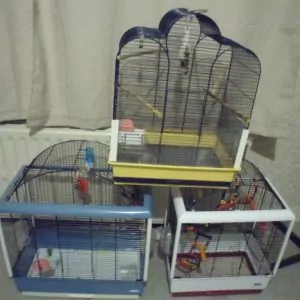 Vente cages oiseaux et accessoires