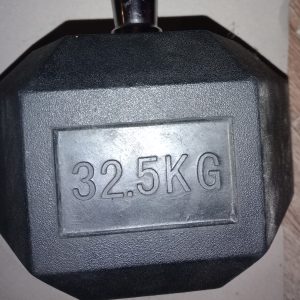 Haltères de 32,5kg (une paire)