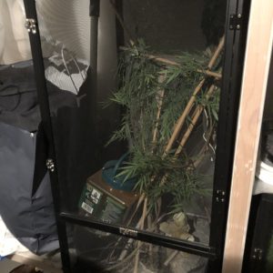 Vivarium exo terra