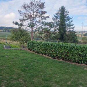 A Vendre villa en viager occupé