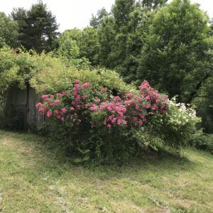 Propriété dans les Pyrénées orientales