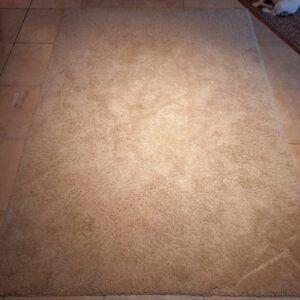 tapis beige poils longs