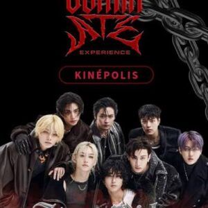 Deux places Kinepolis courtrai