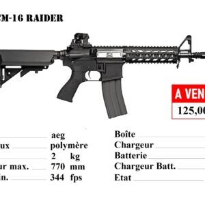 Réplique d'airsoft CM-16 Raider (M4) G&G