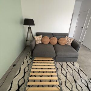 Vente canapé-lit convertible + siège box