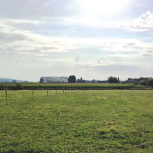Prairies à louer à l'année