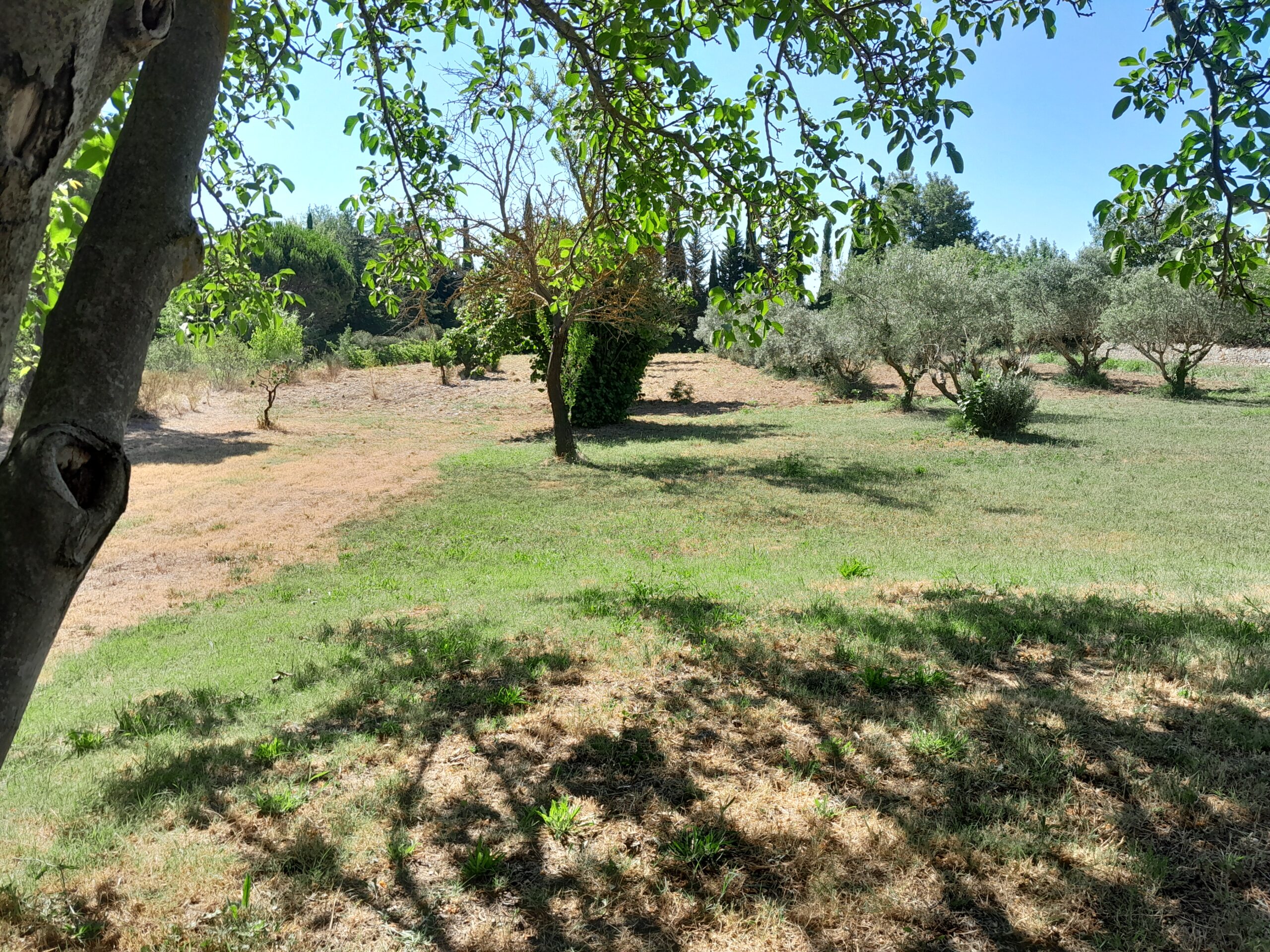 Rare Maison de 1796 ancienne ferme en pleine nature ( 1.5 Ha ) Piscine /dépendences etc... – Image 3