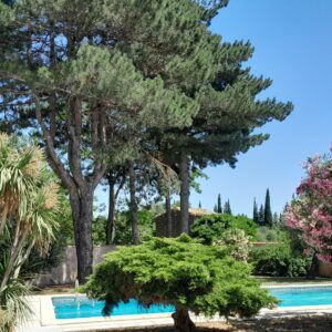 Rare Maison de 1796 ancienne ferme en pleine nature ( 1.5 Ha ) Piscine /dépendences etc...