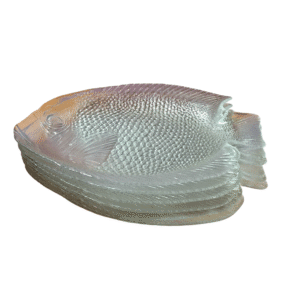 6 assiettes + 1 grand plat à poisson Arcoroc vintage 60/70