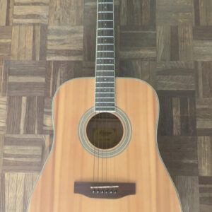 Guitare acoustique Hudson Guitar Co., modèle HI-100