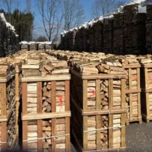 Bois de chauffage très dur