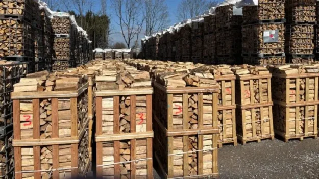 Bois de chauffage très dur